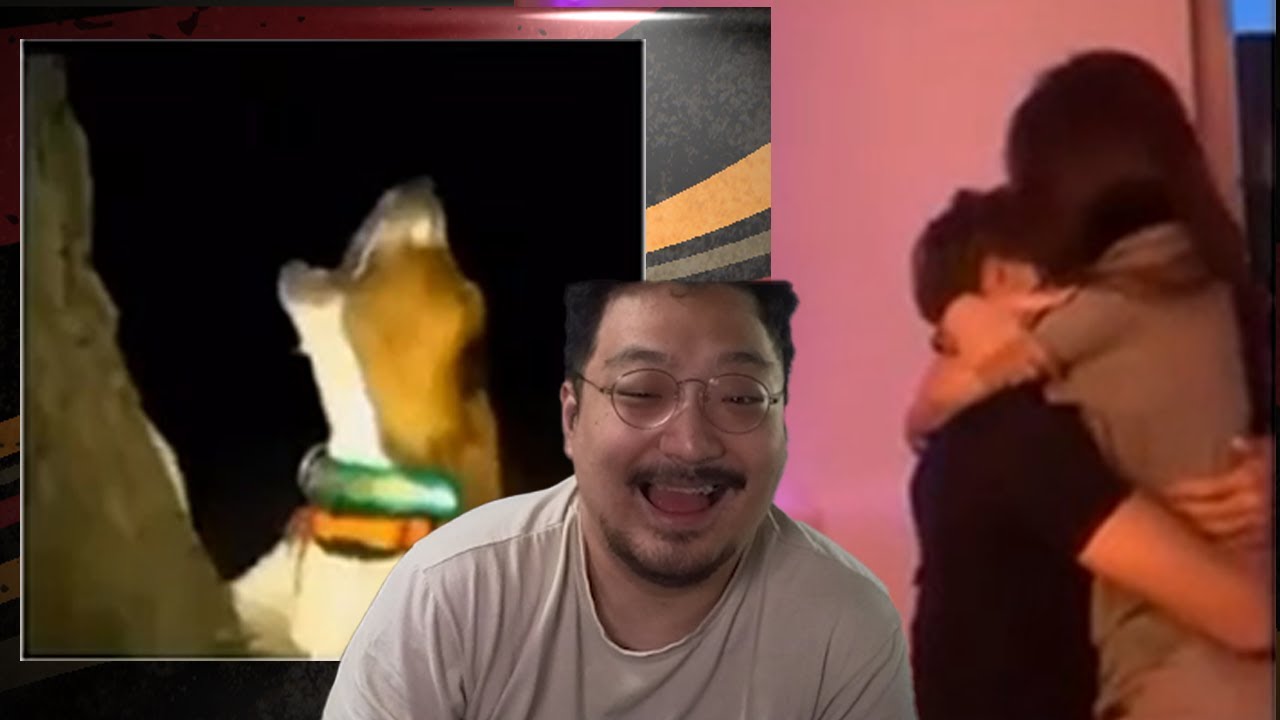 당신이 죽었을 때 개 vs 와이프 ㅋㅋㅋ