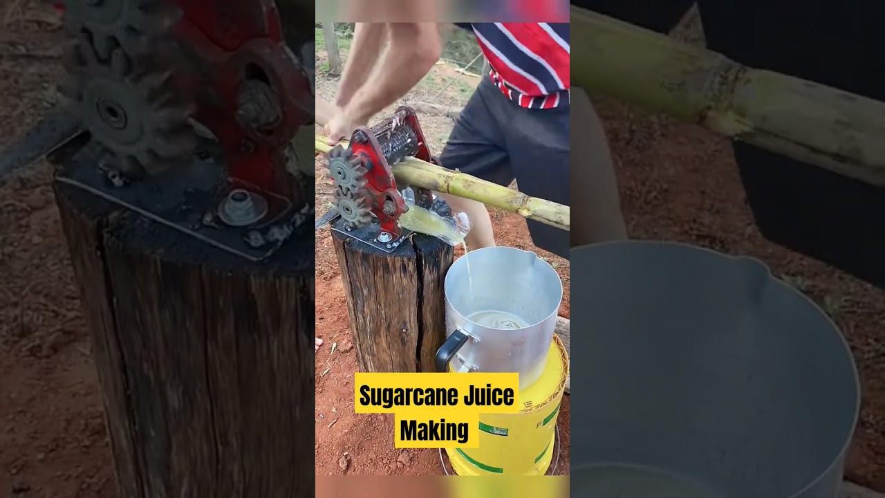 This Sugarcane Juice Manual Machine is Better Alternative to Gym  #sugarcane #machine #challenge