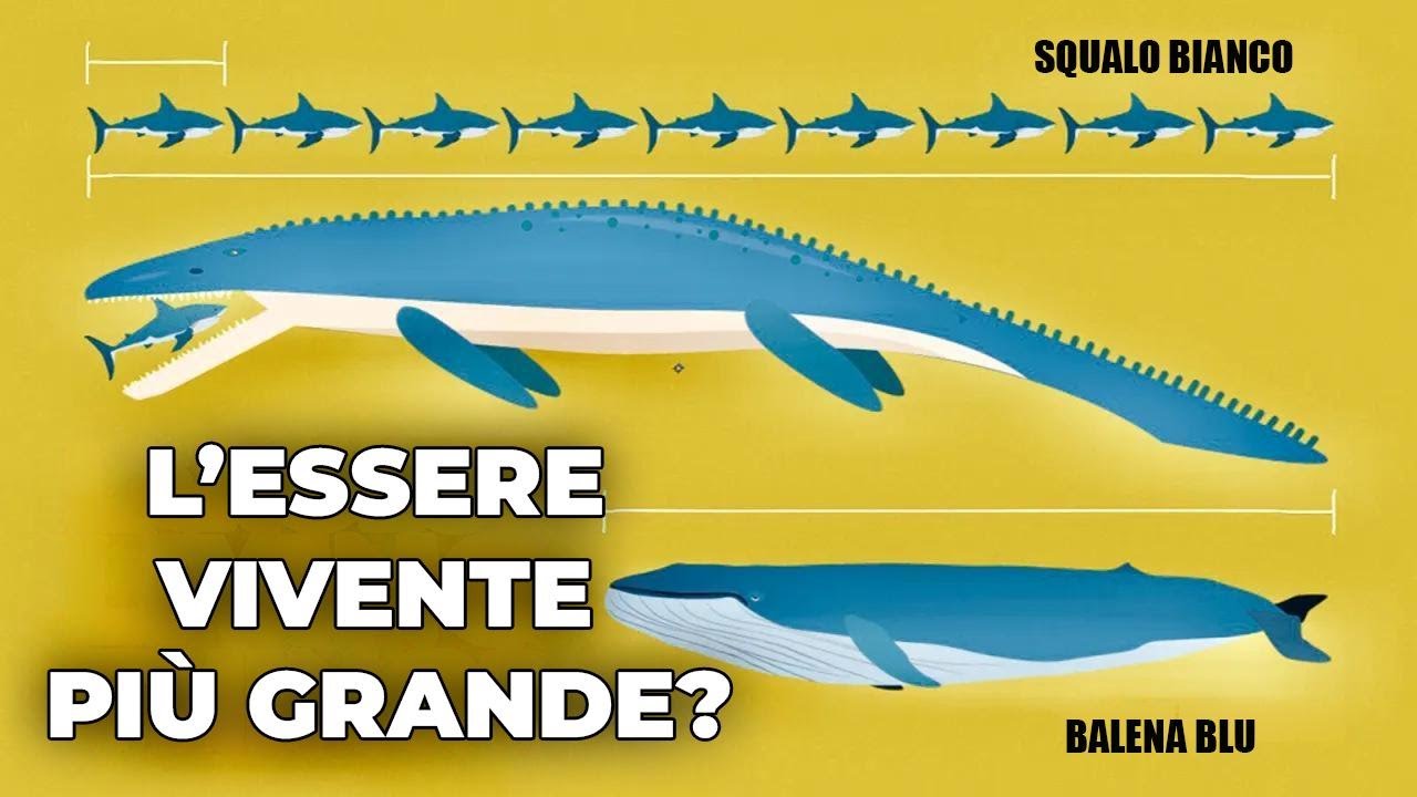 Qual è la creatura più grande mai vissuta sulla Terra? Scopri la verità sui miti!