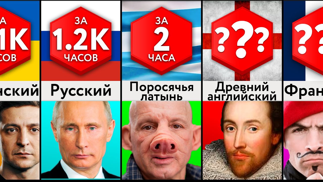 Простейшие В Изучении Языки