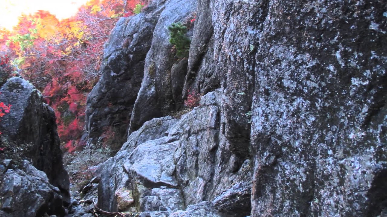 福島県いわき市　二ツ箭山(ふたつやさん) 709.7m 紅葉もきれいでした