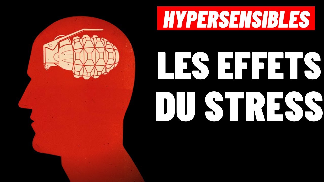 HYPERSENSIBLES : COMMENT VOTRE CERVEAU BASCULE SOUS L'EFFET DU STRESS?