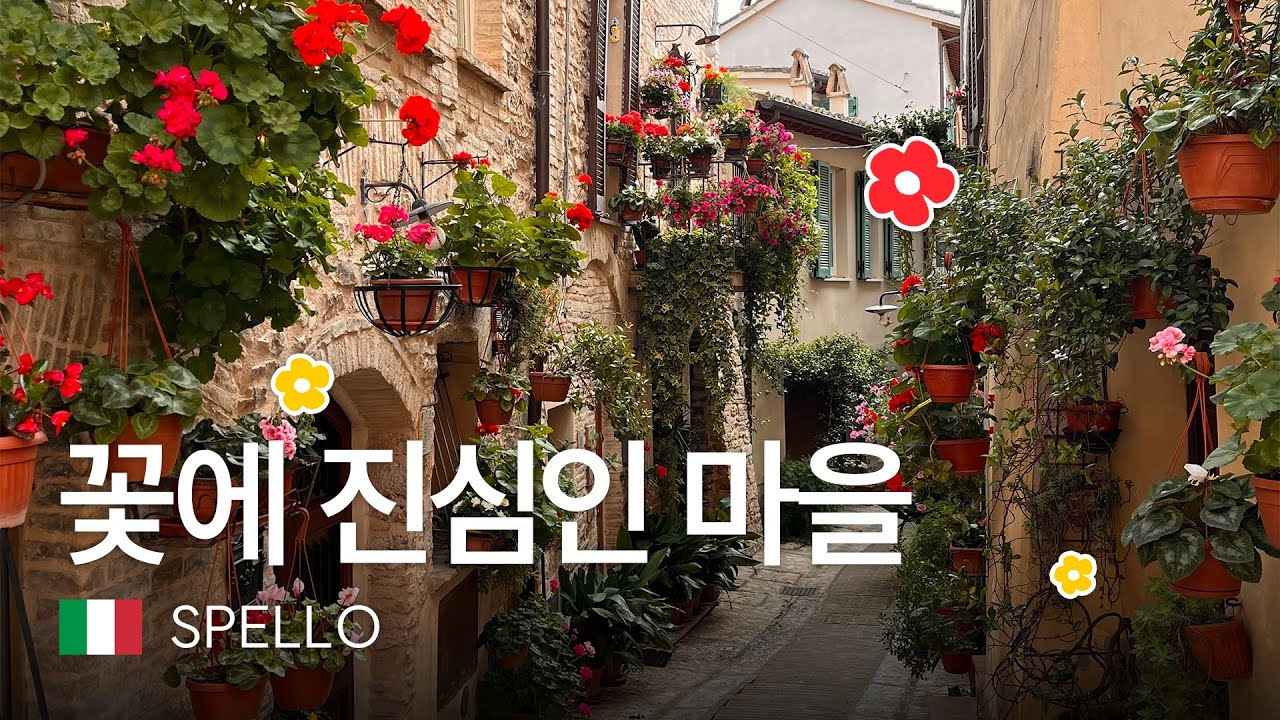 🌼꽃의 도시🌼 스펠로 당일치기 l 이탈리아 소도시 Spello