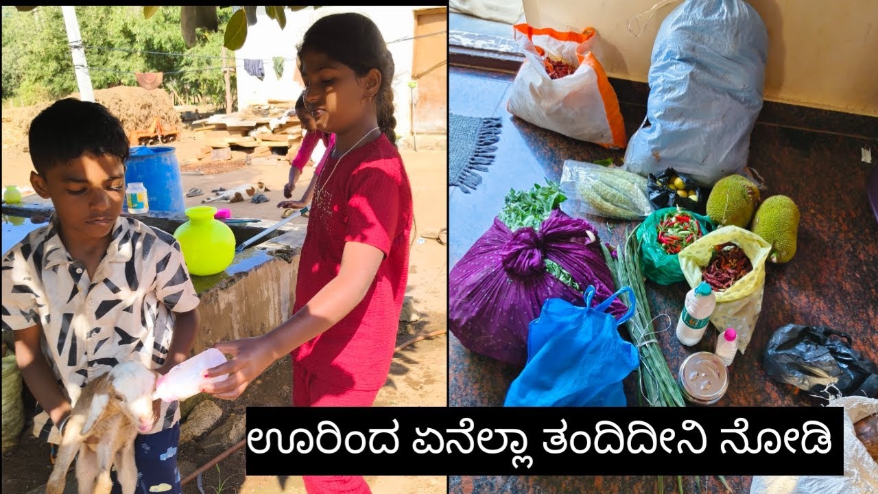 ನಮ್ ನಾದಿನಿ ಊರಿಂದ ಏನೆಲ್ಲಾ ತಂದಿದೀನಿ ನೋಡಿ#tulasiprakashanvolgs#viralvideo#coking video#farming#dance 