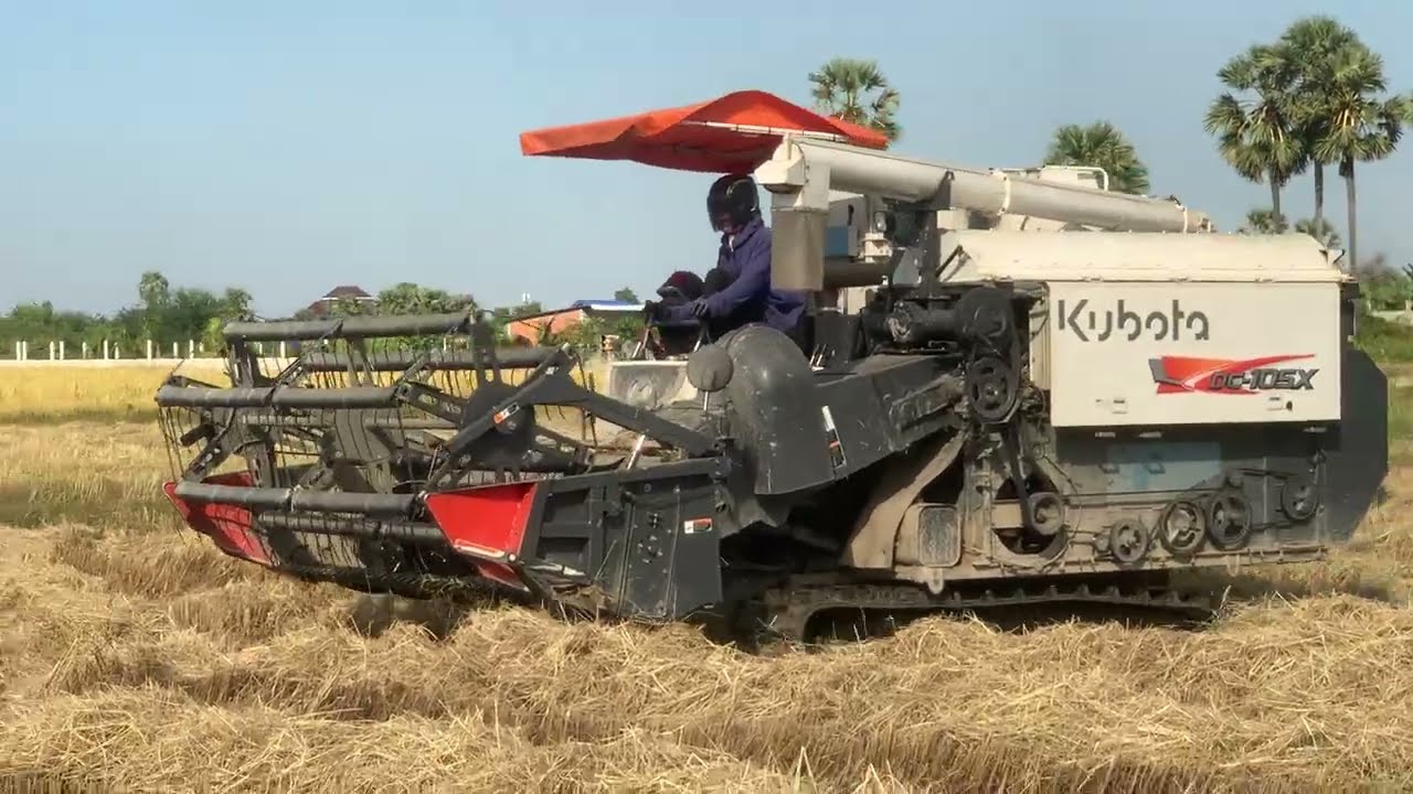 Kubota DC105X harvesting a rice 🌾 _Best Kubota machine 