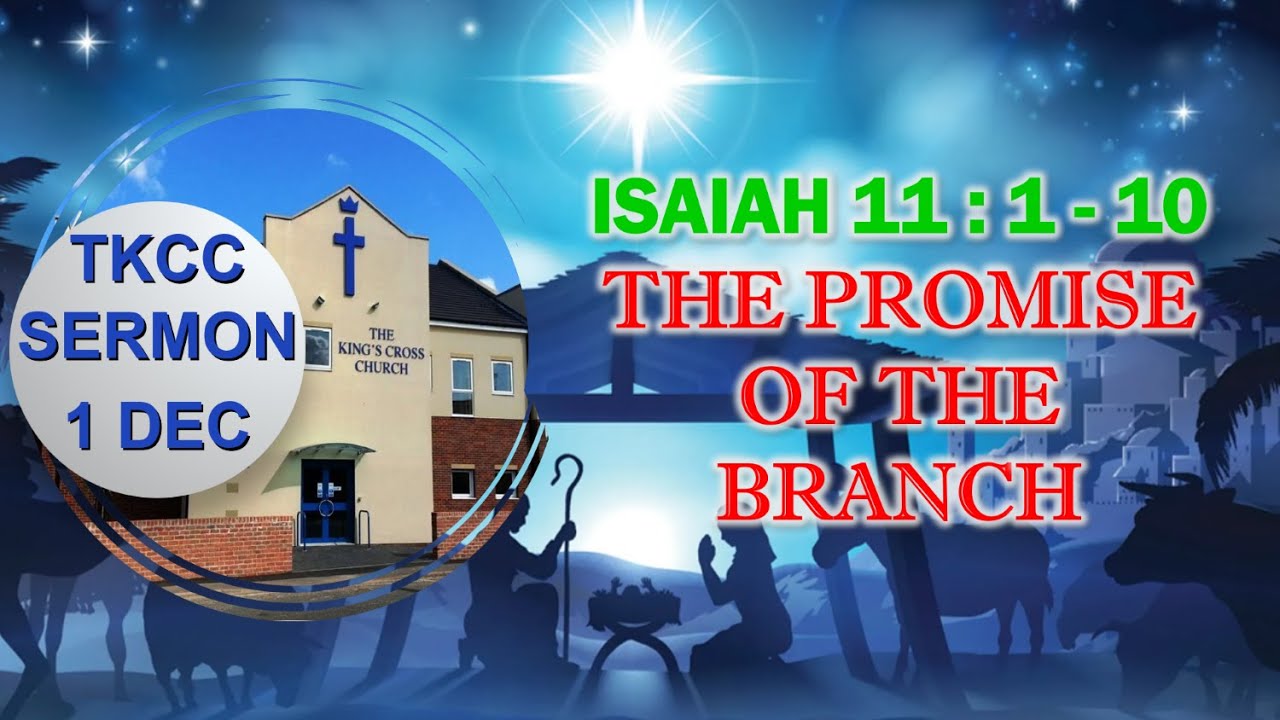 Isaiah 11:1-10 'The Promise of the Branch' 1st December 2024