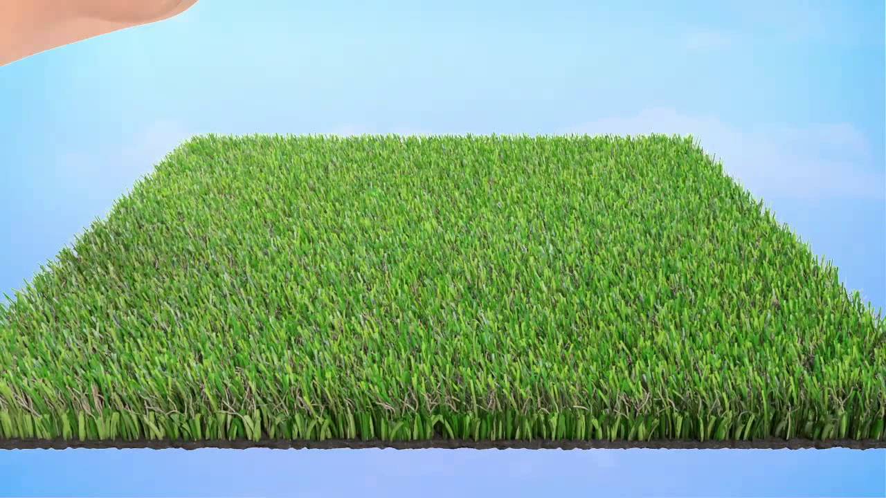 Namgrass Avanti