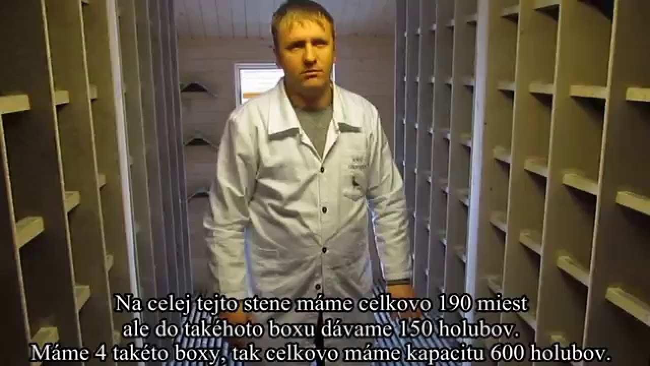 Jan Bochenczak -- vyroba drevenych holubnikov a testovacia stanica MWG Giewont 29.1.2016