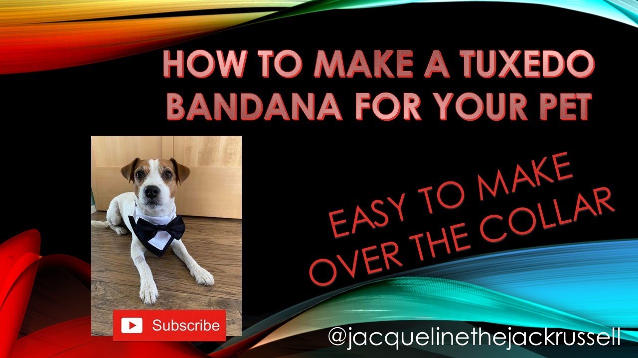 DIY How To Make A Tuxedo Bandana | How to sew a dog bandana measurements included #sewingtutorial