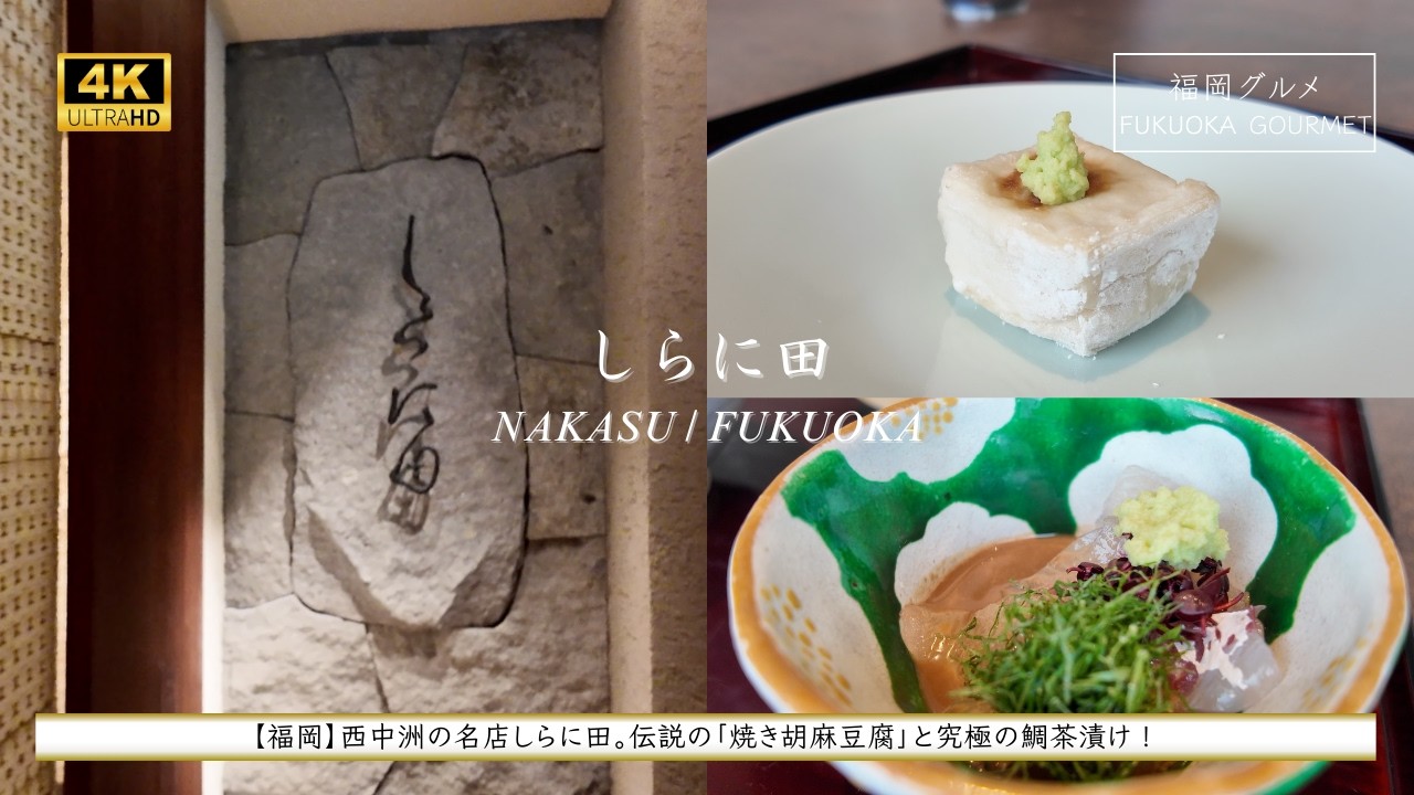 【福岡グルメ】日本料理 しらに田。福岡中洲の名店、究極の鯛茶漬けと心震える至高の和食。