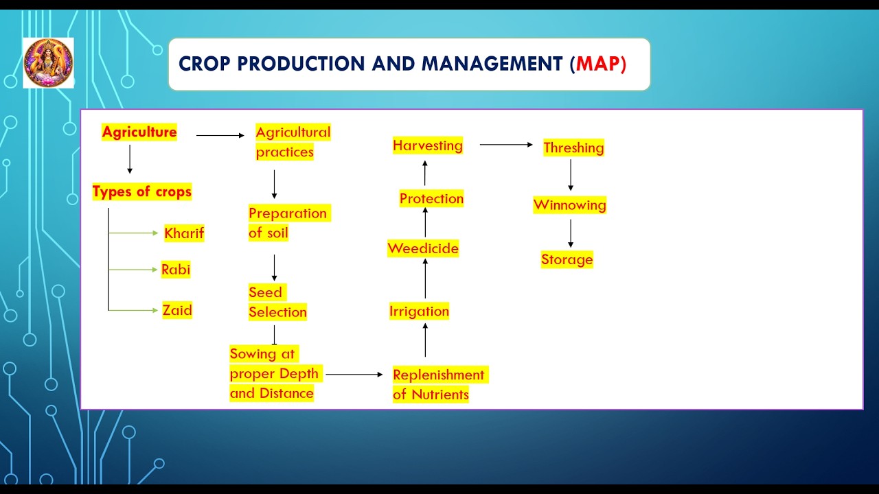 Class 8 Science Chapter 1 | Crop Production and Management | NCERT Full Explanation L-1