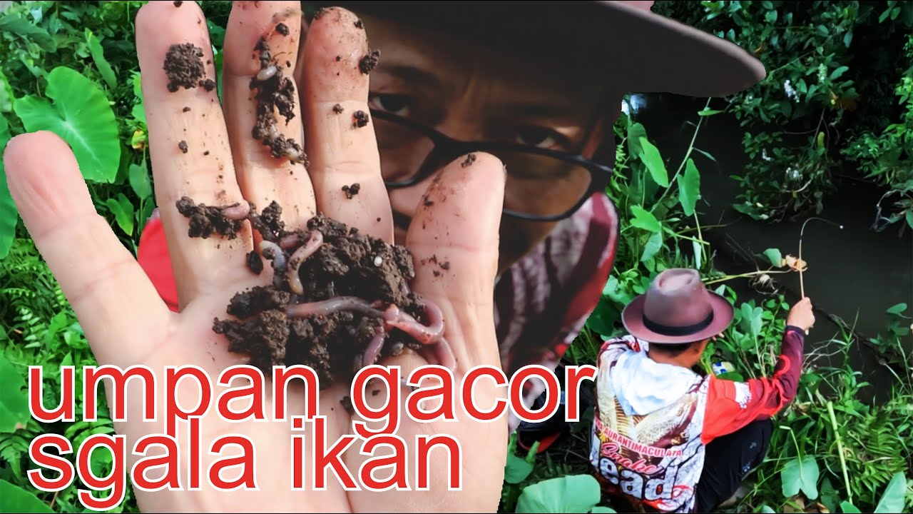 Gacor banget !! Spot lama mancing Jackpotnya mengejutkan