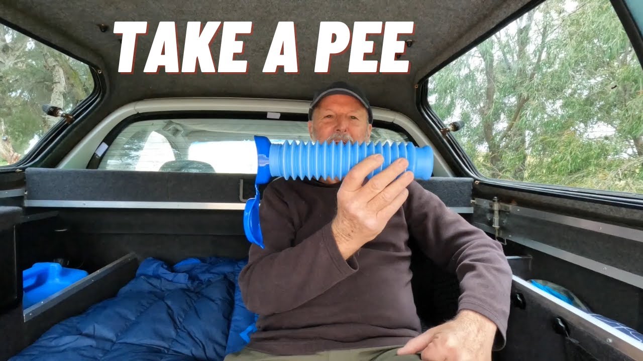 Portable urinal