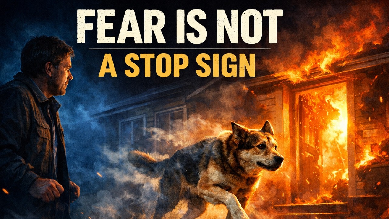Fear Is Not a Stop Sign | The Dog That Faced the Fire
