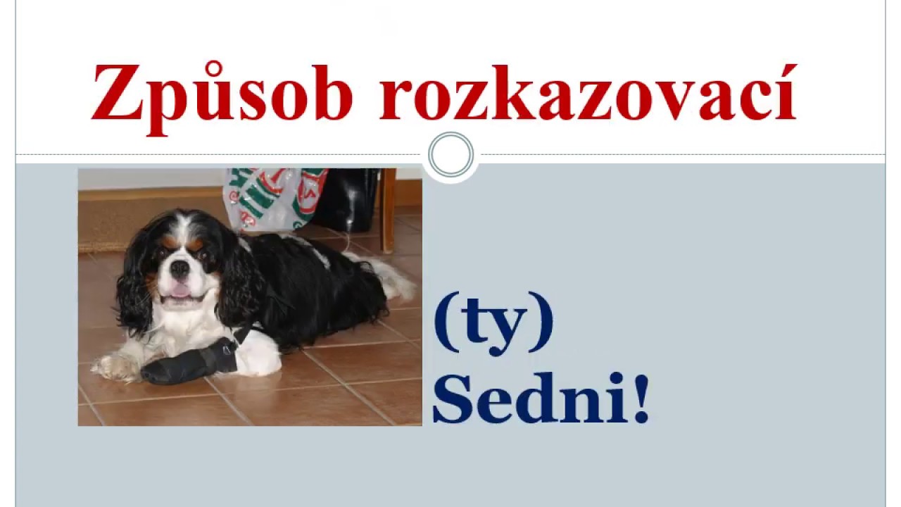 Slovesa, způsob rozkazovací