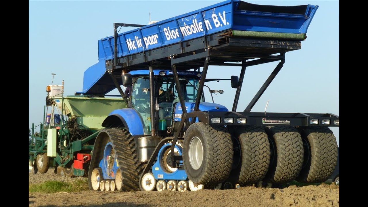 New Holland T7.270 planting Tulip Bulbs / Tulpenbollen planten - Maliepaard Bloembollen