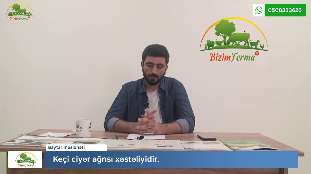 Keçi ciyər ağrısı xəstəliyidir.