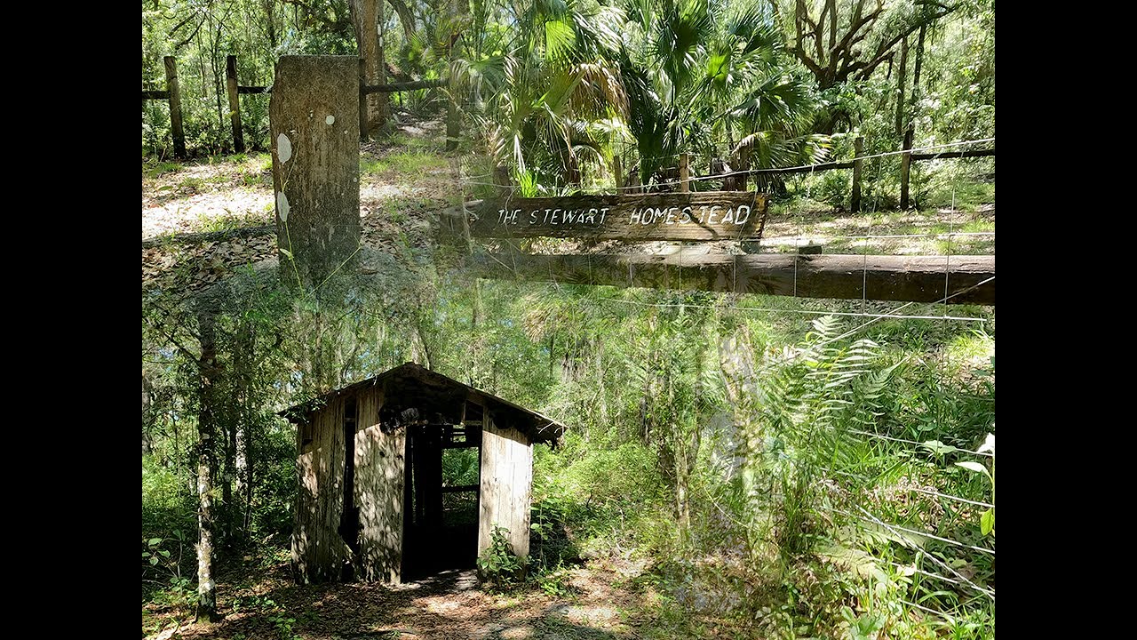 The Stewart Homestead and Cemetery in The Green Swamp Wilderness Preserve