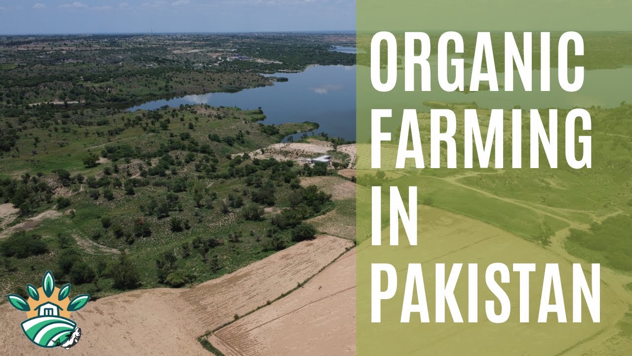 Organic Farming in Pakistan: What to plant?