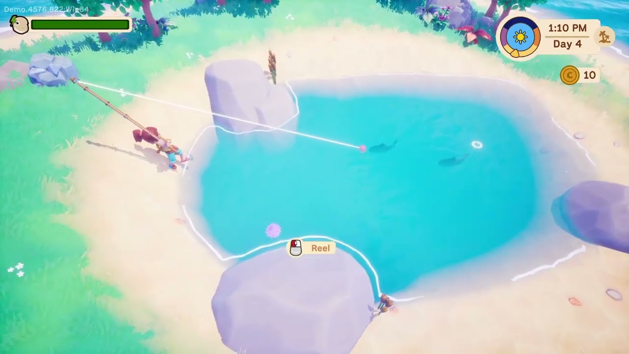 Collector's Cove! Discovering new lands!