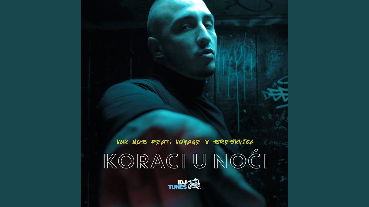 Koraci U Noci