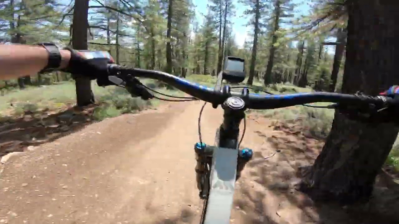 Jackass Trail Truckee, California