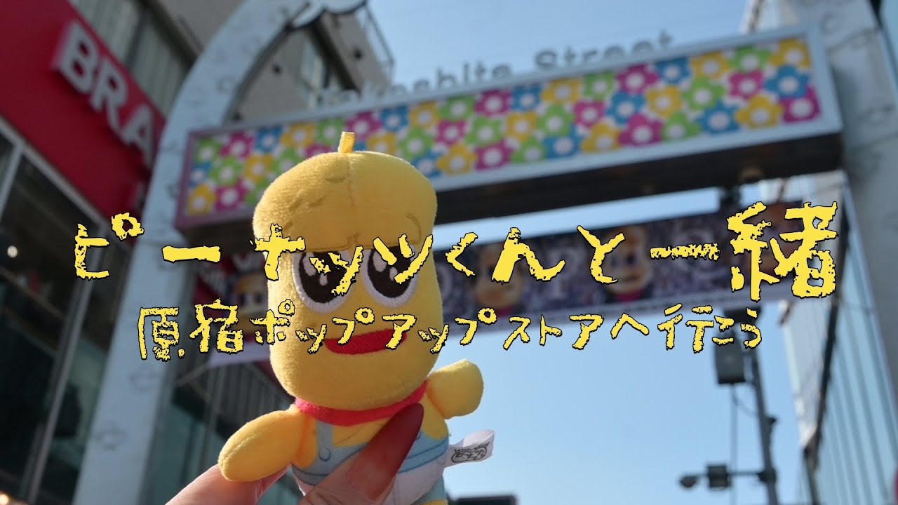 【ぬいVlog】原宿PQ POPUP STOREに行ってきた🥜