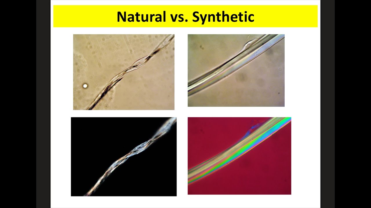 Hairs and Fibers Notes Forensics