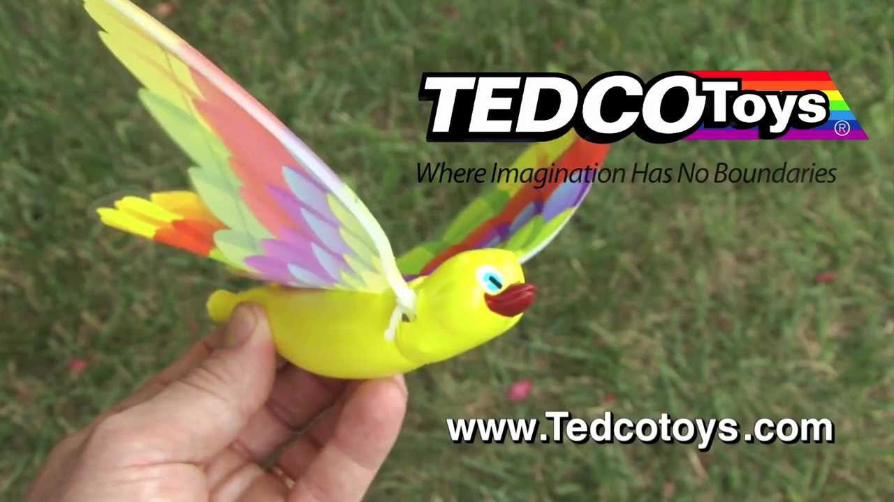 Science Educational Toys Tedco Toys Timmy Bird