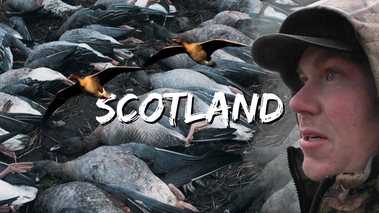 BEST GOOSE HUNTING IN THE WORLD | Scotland Waterfowl Hunting (Part 1)
