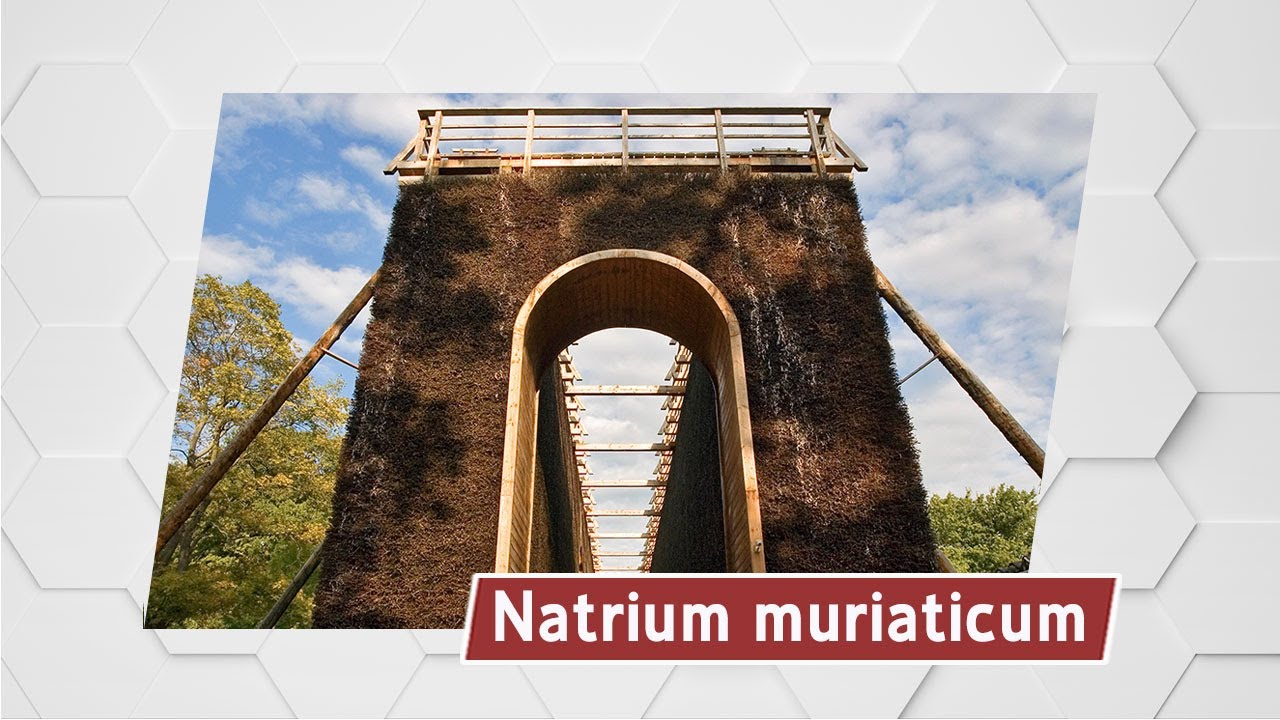 Natrium muriaticum MMVP