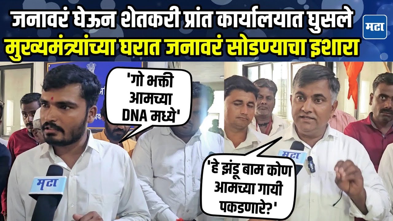 Ahilyanagar News |  भाकड जनावरे, वासरे घेऊन प्रांत अधिकाऱ्यांच्या दालनाबाहेर शेतकऱ्यांचा ठिय्या
