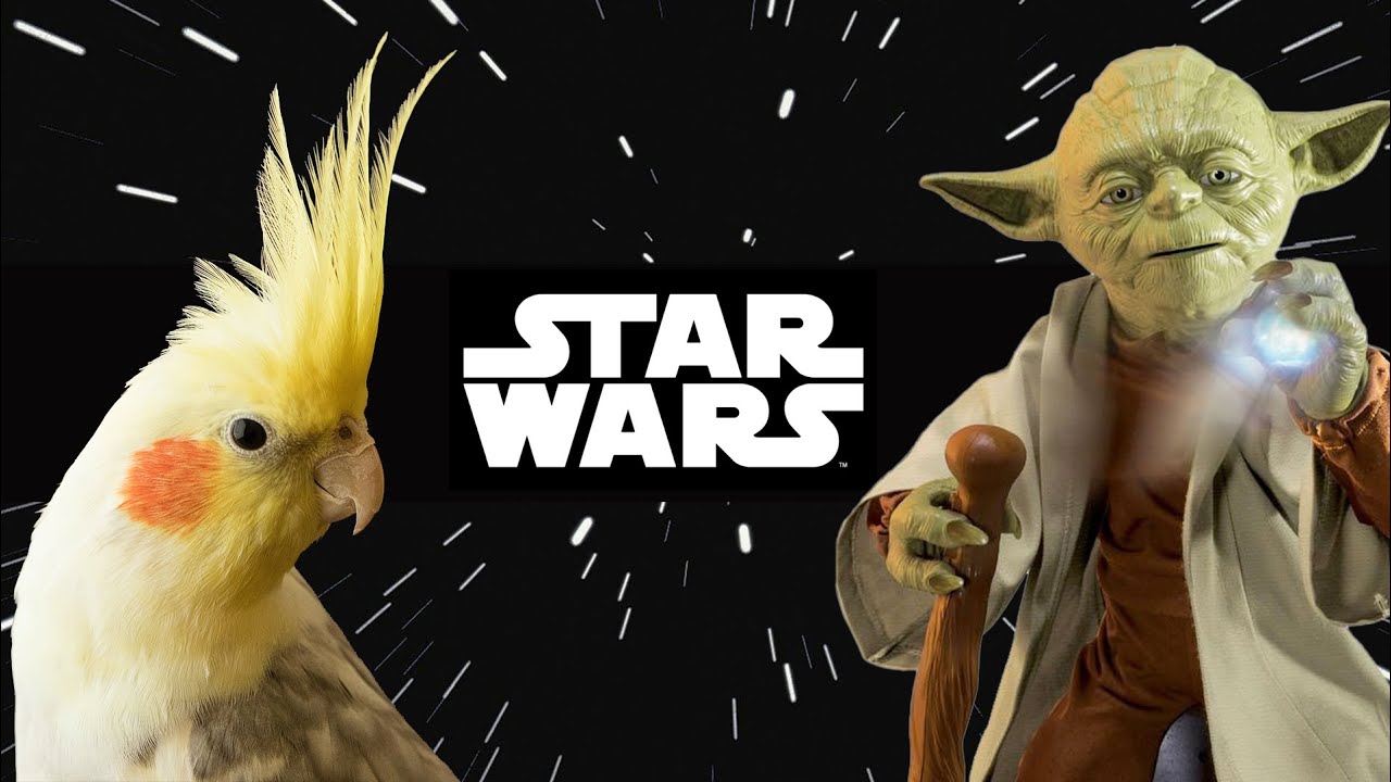 La Guerra de las Galaxias - Star Wars - Educa Tu Ninfa