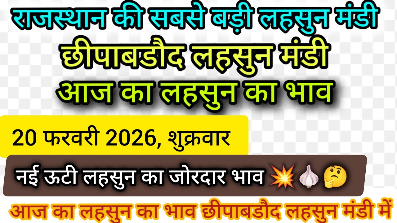 20 February 2026 शुक्रवार, छीपाबडौद लहसुन मंडी में नई ऊटी लहसुन का भाव, Aaj ka Ooty Lahsun ka Bhav |