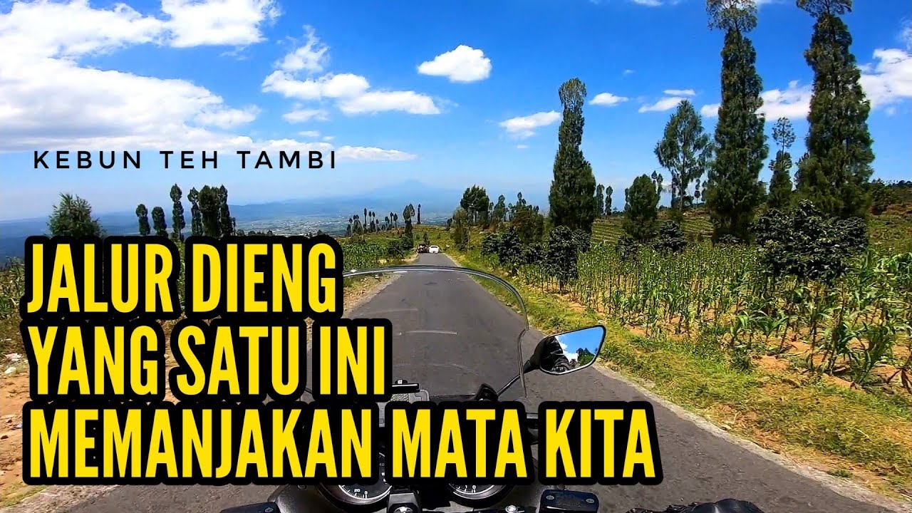 JALUR KEBUN TEH TAMBI | JALUR PULANG DARI DIENG YG INDAH