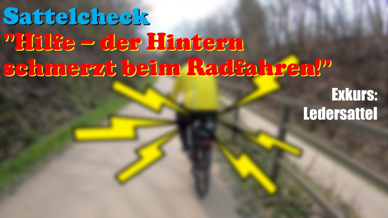 Sattelcheck 