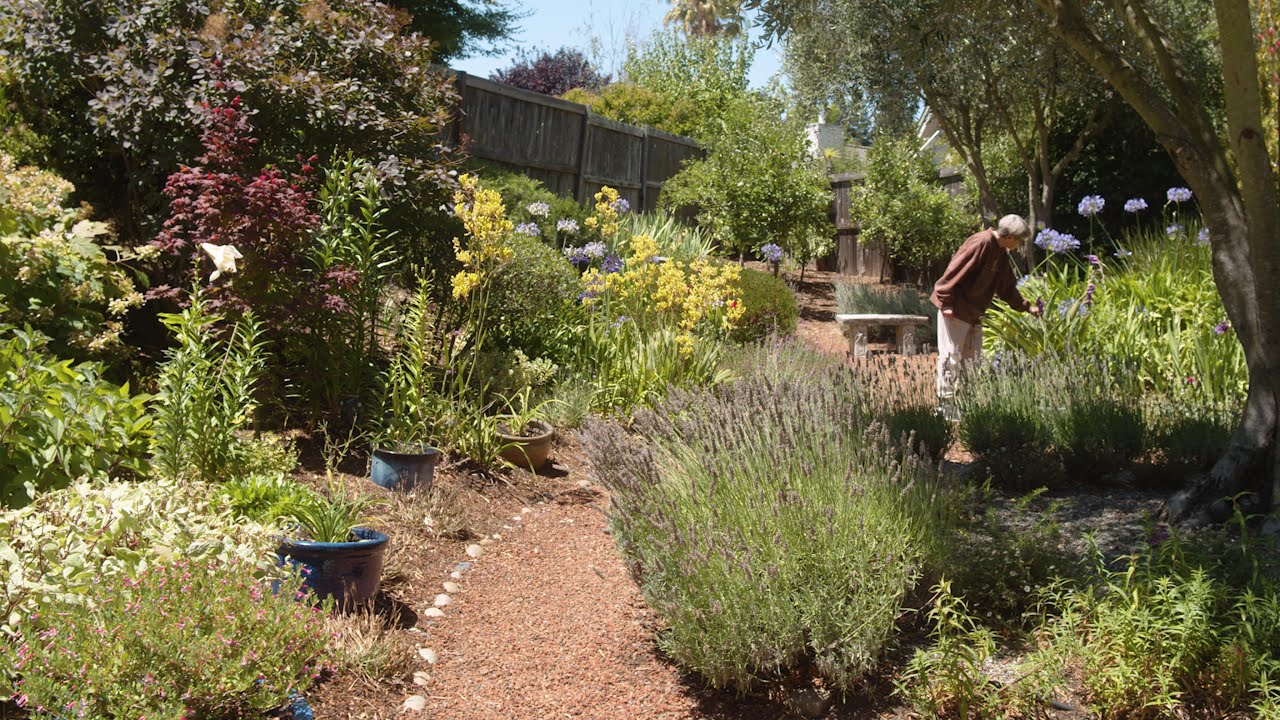 “IT’S THE IDEA OF REPAIRING THE WORLD”