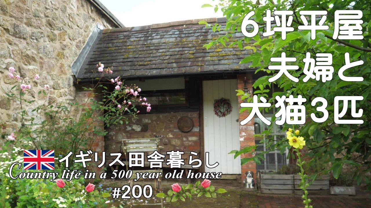 200 雨の日はおうちカフェ／スコーン 15分レシピ🎁プレゼント企画