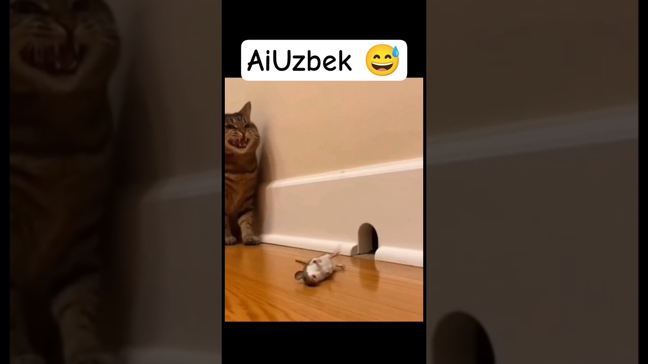 AiUzbek 😅👍🔥 #aiuzbek #ai #new