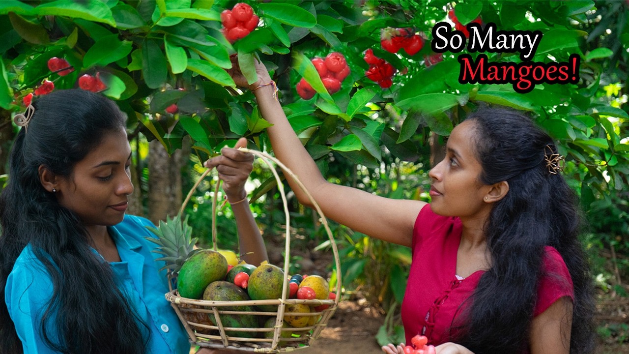 Juicy Mango Harvest 🥭 | Mango Pudding, Raw Mango Salad & Village Fruit Salad | Alonilo Nature Girls