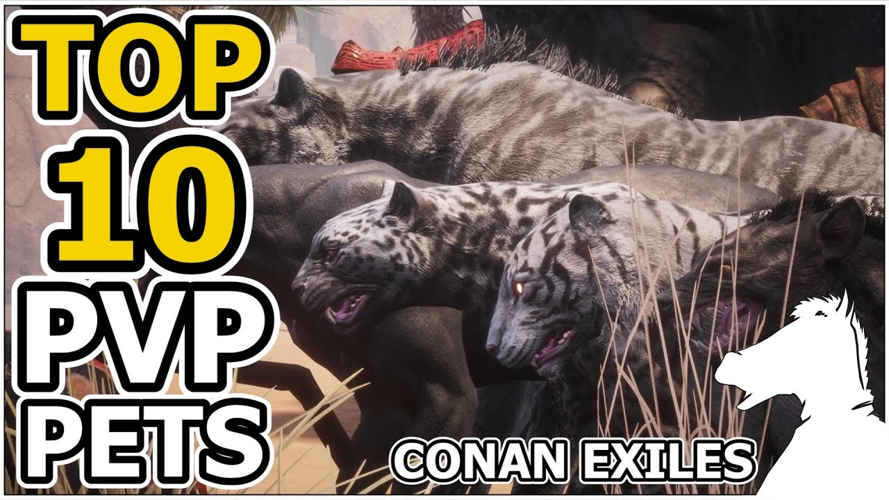Top 10 PvP Pets | CONAN EXILES