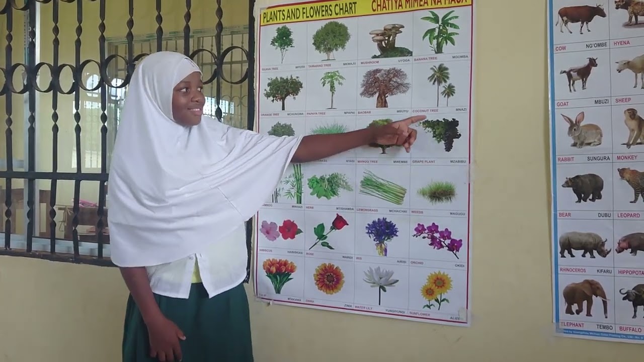 MIMEA KWA LUGHA YA ALAMA