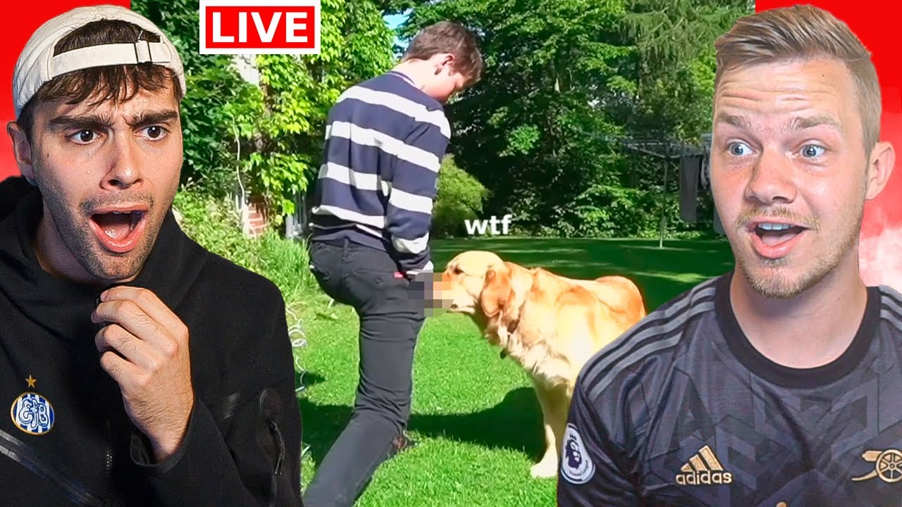 DET HER BURDE IKKE BLIVE VIST P&Aring; TWITCH.. - DANSKE TWITCH HIGHLIGHTS!