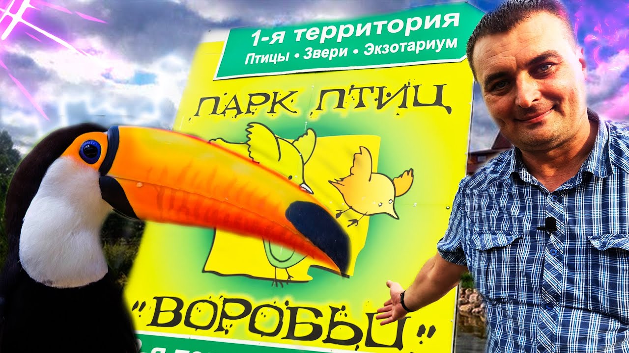 Парк птиц. Калужская область.