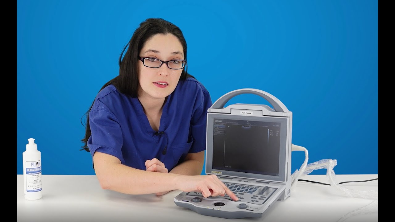 Getting started with the KX5600v veterinary ultrasound machine