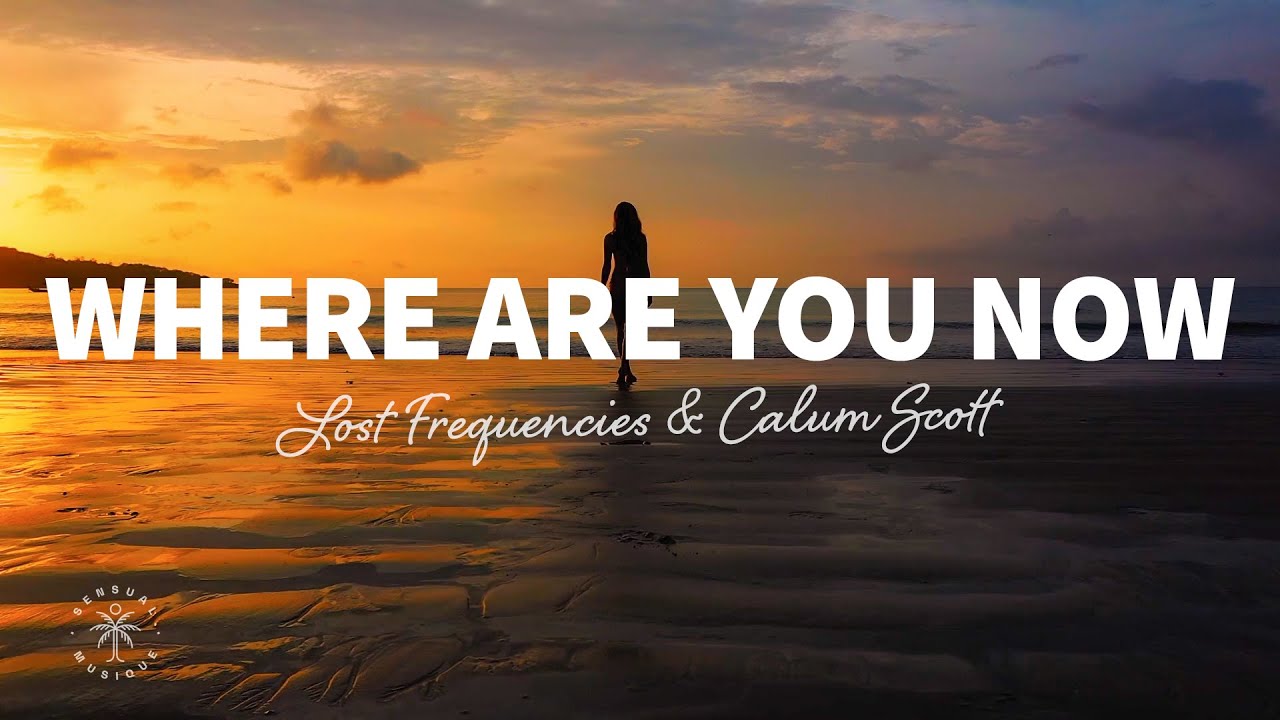 Lost Frequencies & Calum Scott - Where Are You Now (Lyrics)