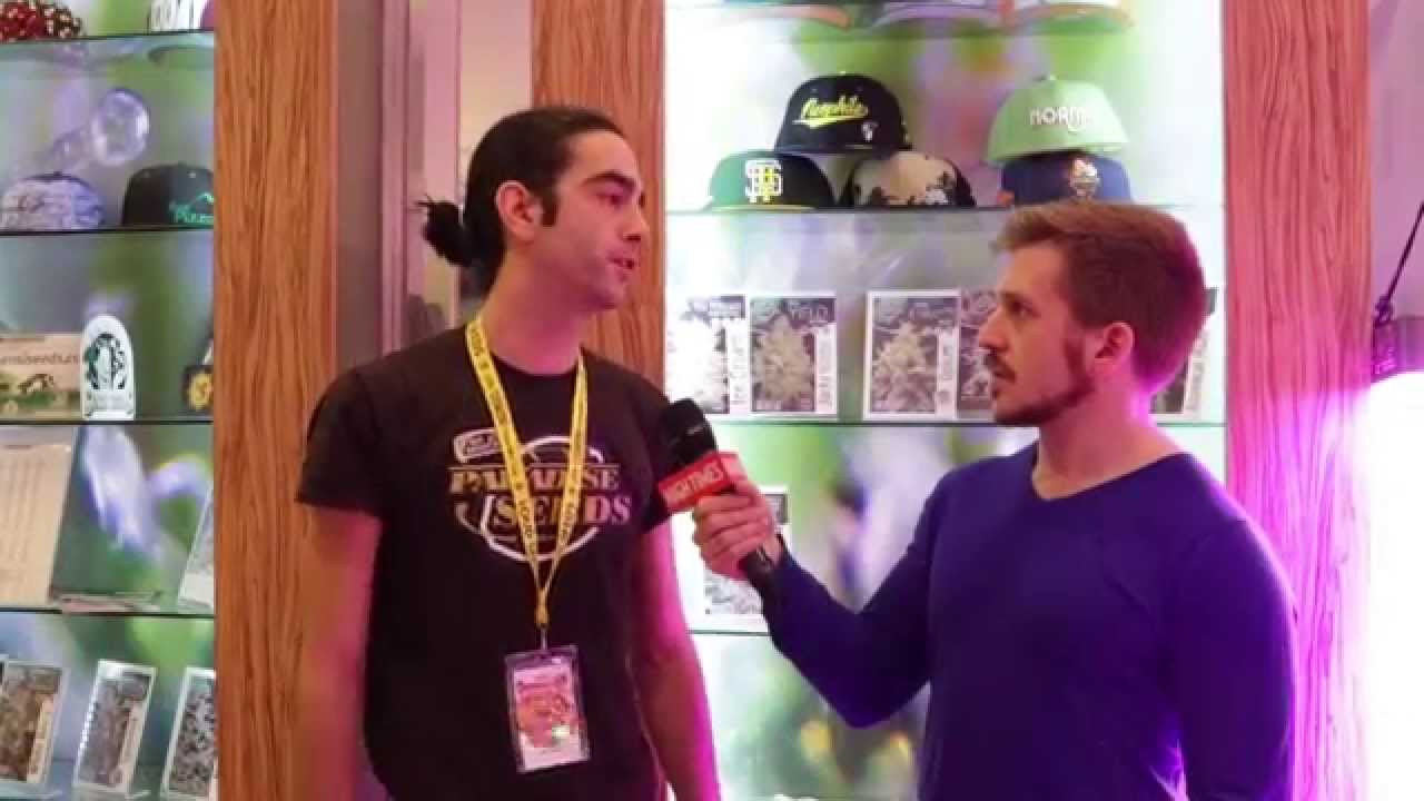 2014 HIGH TIMES Amsterdam Cannabis Cup: Legalization Spotlight