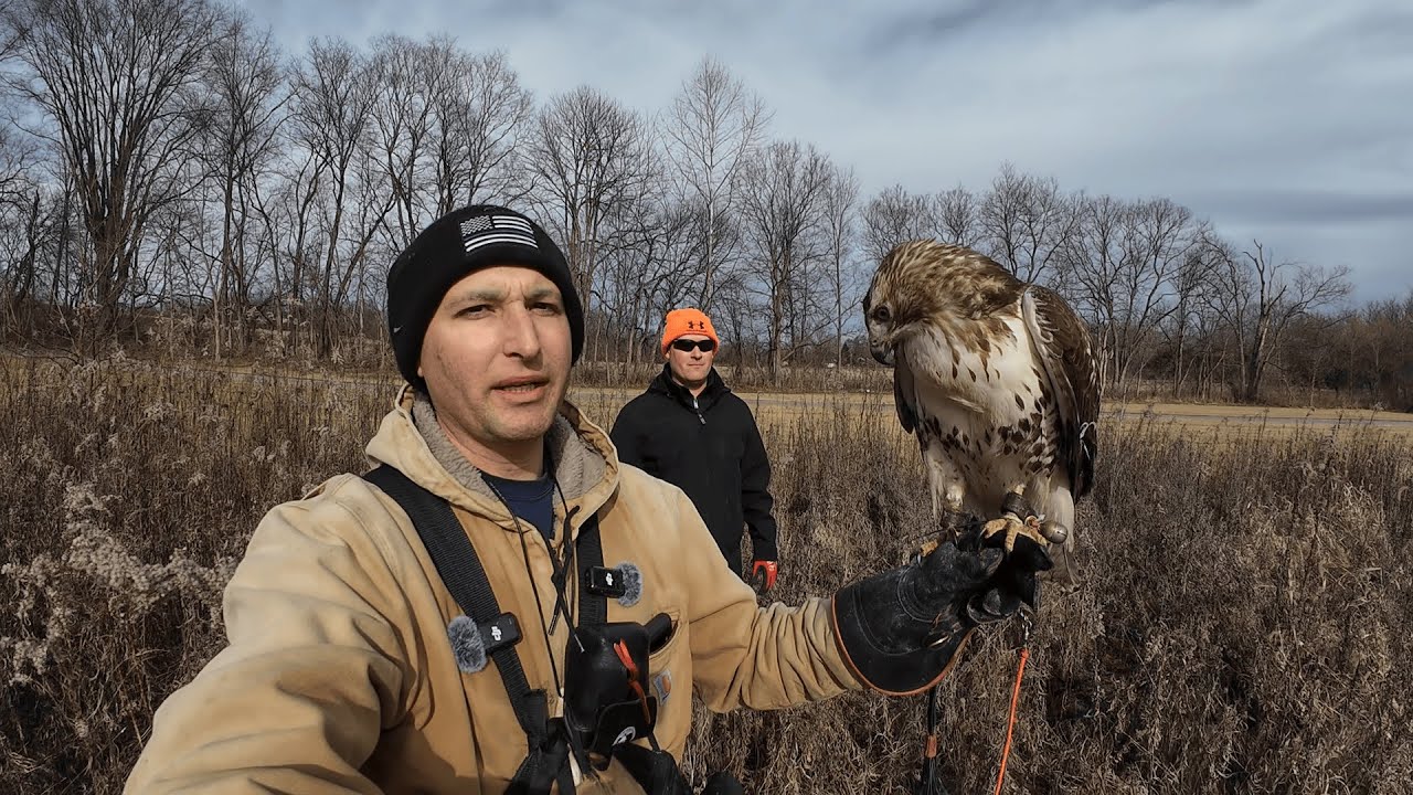 This Hawk is a HAMMER!  (Ohio Dirt Hawking for Squirrels and Rabbits)