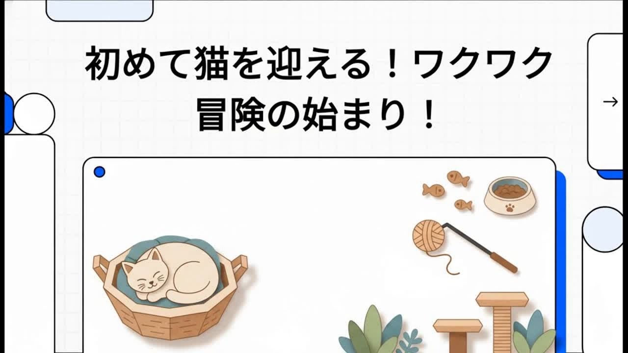 初めて猫を飼う人へ｜準備と注意点を全部まとめました