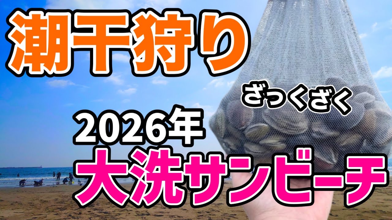 人気潮干狩りスポット2026 無料ではまぐりが採れる大洗サンビーチ 観光に釣りも！